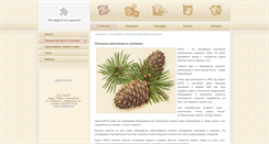 Desktop Screenshot of nutsi.ru