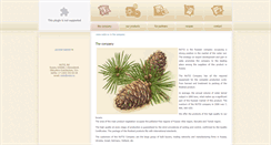 Desktop Screenshot of eng.nutsi.ru